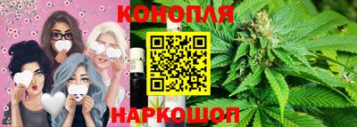 Альфа ПВП Будённовск