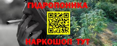 прущая мука Кимры