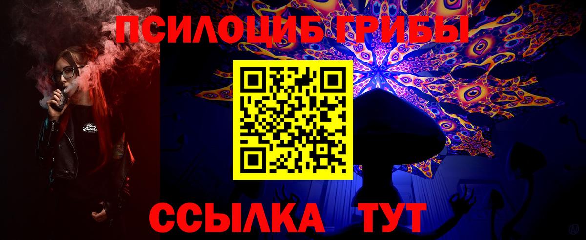 Костомукша  Псилоцибиновые грибы Magic Shrooms  Галлюциногенные грибы мухоморы  купить  цена  Вход с VPN 
