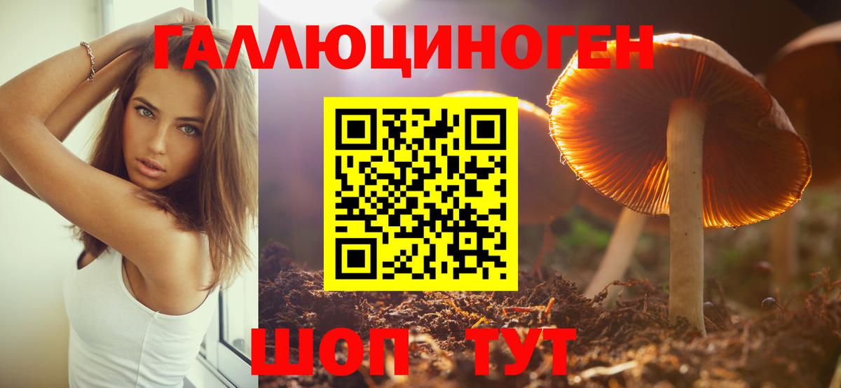 Галлюциногенные грибы MAGIC MUSHROOMS Костомукша
